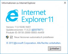 Popup mit Info zur Internetexplorer Version