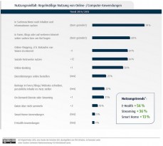 Nutzungsvielfalt: Regelmäßige Nutzung von Online- / Computeranwendungen