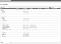 SEO Metatags Übersicht