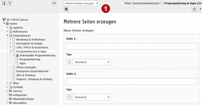 TYPO3 Handbuch v. 8 LTS - Modul WEB > Funktionen