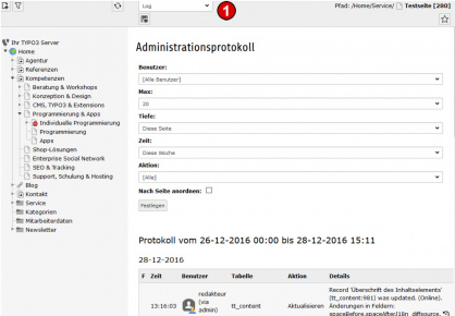 TYPO3 Handbuch v. 8 LTS - Modul WEB > Info