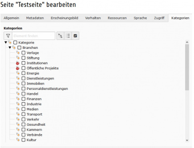 TYPO3 Handbuch v. 8 LTS - Seite bearbeiten - Reiter Kategorien