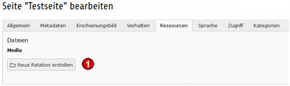 TYPO3 Handbuch v. 8 LTS - Seite bearbeiten - Reiter Ressourcen